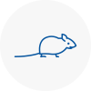 Mice Exterminators In Middlesex
